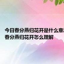 今日春分燕归花开是什么意思 今日春分燕归花开怎么理解