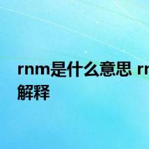 rnm是什么意思 rnm的解释