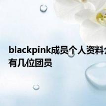 blackpink成员个人资料介绍 共有几位团员