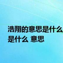 浩翔的意思是什么 浩翔是什么 意思