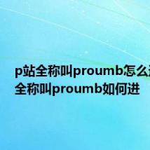 p站全称叫proumb怎么进 p站全称叫proumb如何进