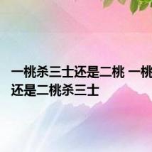 一桃杀三士还是二桃 一桃杀三士还是二桃杀三士