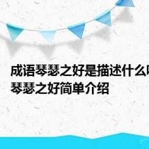 成语琴瑟之好是描述什么呢 成语琴瑟之好简单介绍