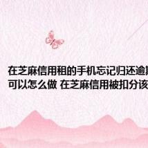 在芝麻信用租的手机忘记归还逾期被扣分可以怎么做 在芝麻信用被扣分该如何做