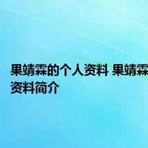 果靖霖的个人资料 果靖霖的个人资料简介