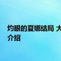 灼眼的夏娜结局 大结局介绍