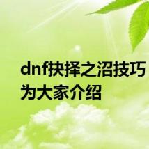 dnf抉择之沼技巧 详细为大家介绍