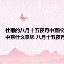 杜甫的八月十五夜月中直欲数秋毫中直什么意思 八月十五夜月原文