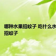 哪种水果招蚊子 吃什么水果容易招蚊子