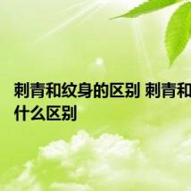 刺青和纹身的区别 刺青和纹身有什么区别