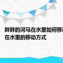 胖胖的河马在水里如何移动 河马在水里的移动方式