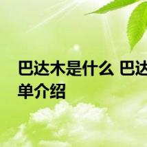 巴达木是什么 巴达木简单介绍