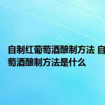 自制红葡萄酒酿制方法 自制红葡萄酒酿制方法是什么