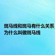 斑马线和斑马有什么关系 斑马线为什么叫做斑马线