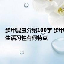 步甲昆虫介绍100字 步甲昆虫的生活习性有何特点