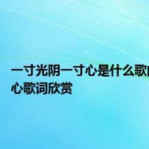 一寸光阴一寸心是什么歌曲 手掌心歌词欣赏