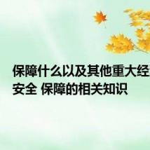 保障什么以及其他重大经济利益安全 保障的相关知识