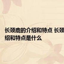 长颈鹿的介绍和特点 长颈鹿的介绍和特点是什么