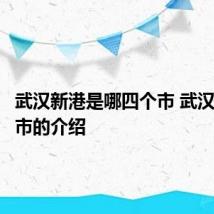 武汉新港是哪四个市 武汉新港城市的介绍