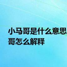 小马哥是什么意思 小马哥怎么解释