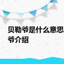 贝勒爷是什么意思 贝勒爷介绍