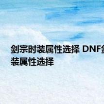 剑宗时装属性选择 DNF剑宗时装属性选择