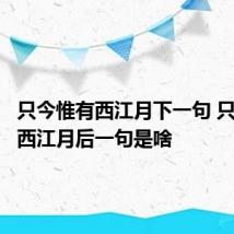 只今惟有西江月下一句 只今惟有西江月后一句是啥