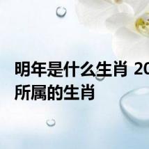 明年是什么生肖 2022年所属的生肖