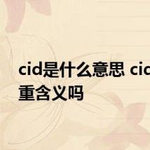 cid是什么意思 cid有多重含义吗