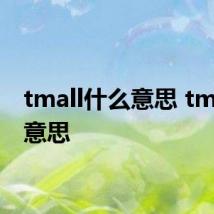 tmall什么意思 tmall的意思