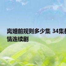 离婚前规则多少集 34集都市爱情连续剧