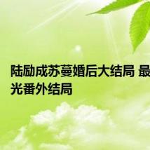 陆励成苏蔓婚后大结局 最美的时光番外结局