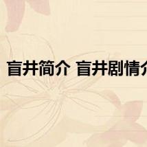 盲井简介 盲井剧情介绍