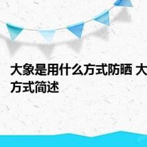 大象是用什么方式防晒 大象防晒方式简述