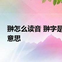 翀怎么读音 翀字是什么意思