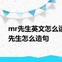 mr先生英文怎么读 mr先生怎么造句