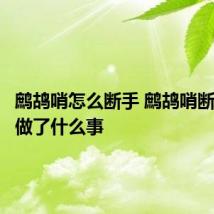 鹧鸪哨怎么断手 鹧鸪哨断手后又做了什么事