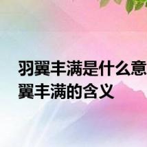 羽翼丰满是什么意思 羽翼丰满的含义