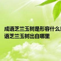 成语芝兰玉树是形容什么意思 成语芝兰玉树出自哪里