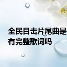 全民目击片尾曲是什么 有完整歌词吗