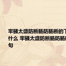 牢骚太盛防断肠防肠断的下一句是什么 牢骚太盛防断肠防肠断的后一句