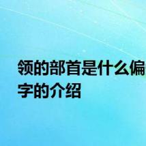 领的部首是什么偏旁 领字的介绍