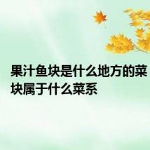 果汁鱼块是什么地方的菜 果汁鱼块属于什么菜系