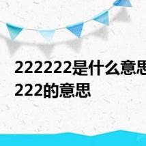 222222是什么意思 222222的意思