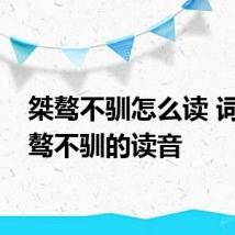 桀骜不驯怎么读 词语桀骜不驯的读音