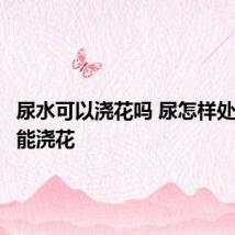 尿水可以浇花吗 尿怎样处理后才能浇花