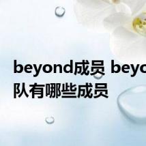 beyond成员 beyond乐队有哪些成员