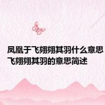 凤凰于飞翙翙其羽什么意思 凤凰于飞翙翙其羽的意思简述