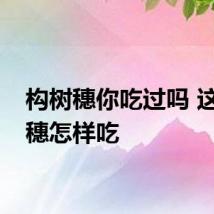 构树穗你吃过吗 这构树穗怎样吃