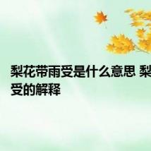 梨花带雨受是什么意思 梨花带雨受的解释